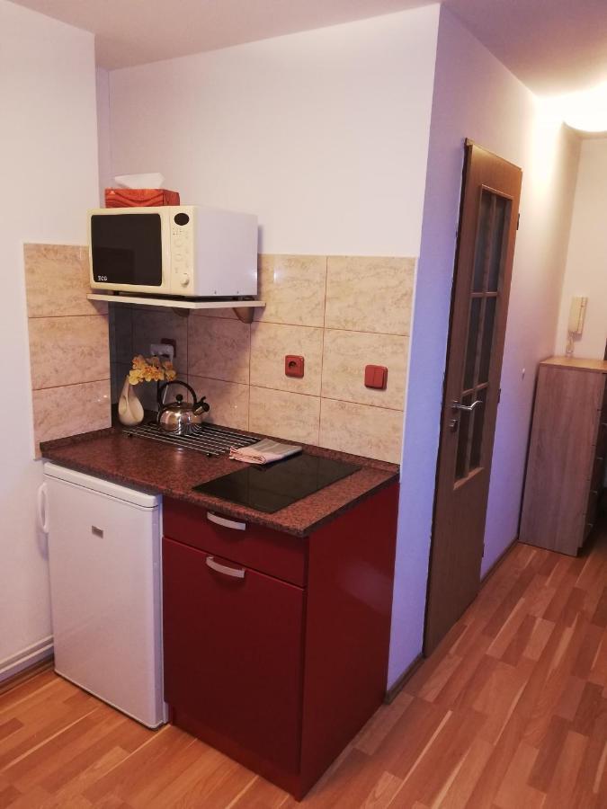 Pension U Lasanu Třešť Kültér fotó